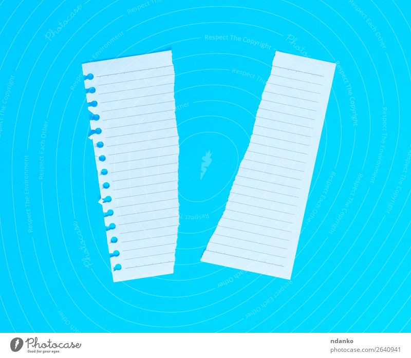in halbweißem, leeren Blatt gerissen in Linie auf blauem Hintergrund Bildung Büro Papier oben Sauberkeit Idee planen Schot Text blanko Hinweis Hälfte Konsistenz