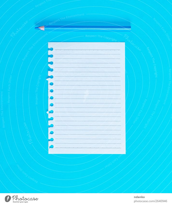 weißes leeres Blatt in Linie aus dem Notizblock gerissen Schule Büro Business Papier Zettel Schreibstift Holz schreiben blau Idee lernen Bleistift Spirale