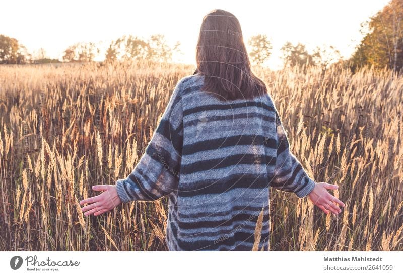 Streifzüge Mensch feminin Junge Frau Jugendliche 1 18-30 Jahre Erwachsene Natur Landschaft Sonnenlicht Herbst Schönes Wetter Feld Pullover langhaarig berühren