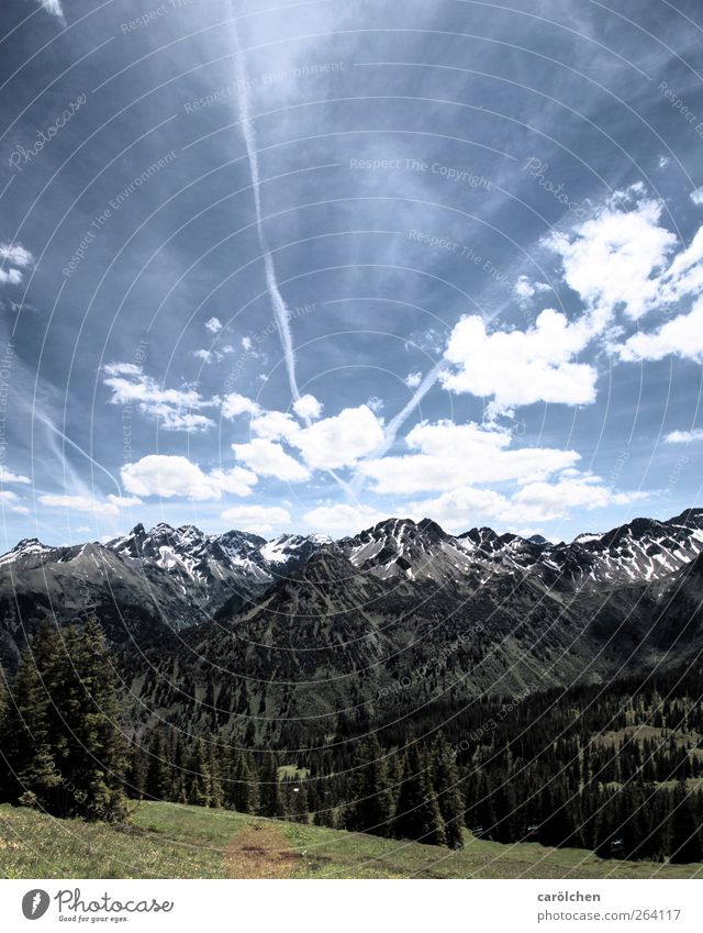 Allgäu Umwelt Natur Alpen schön Schönes Wetter Farbfoto Außenaufnahme Menschenleer Schwache Tiefenschärfe Weitwinkel