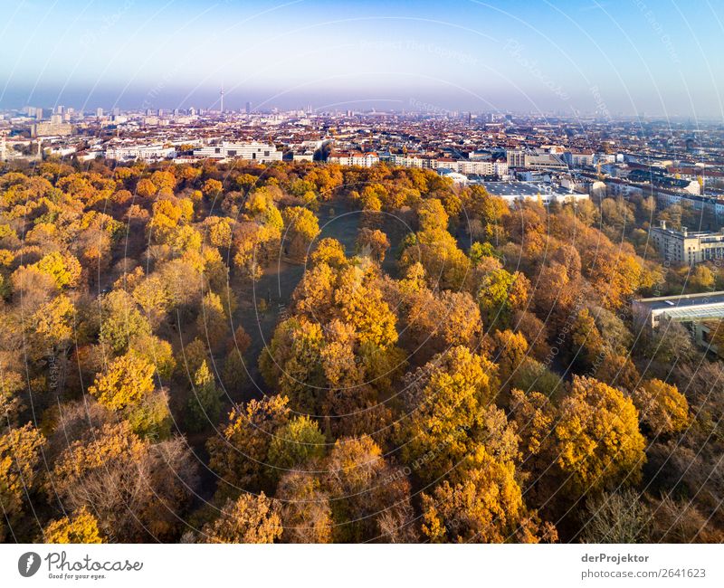 Berliner Panorama mit Park Berlin-Mitte Zentralperspektive Starke Tiefenschärfe Sonnenstrahlen Sonnenlicht Schatten Licht Morgen Textfreiraum Mitte