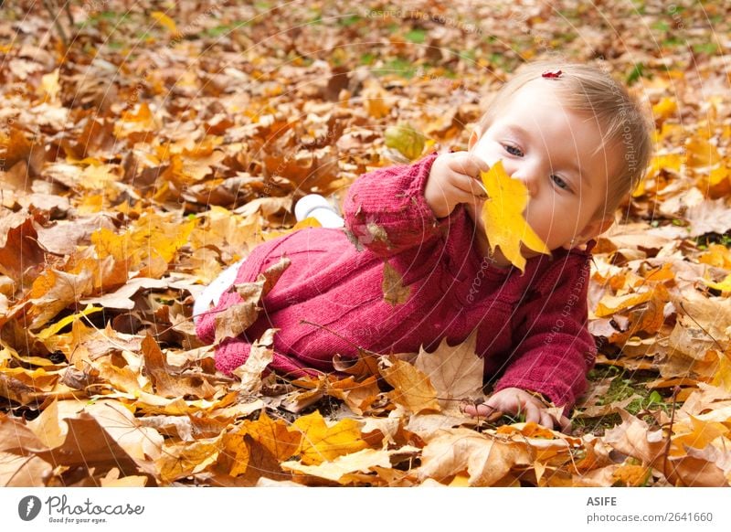 Baby entdeckt Herbstblätter Lifestyle Freude Glück Spielen Kind Natur Wärme Blatt Park Wald blond berühren entdecken genießen Fröhlichkeit natürlich niedlich