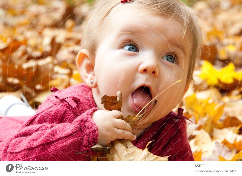 Süßes Babymädchen isst Herbstblätter Essen Lifestyle Freude Glück Spielen Kind Mund Natur Wärme Blatt Park Wald blond berühren entdecken genießen Fröhlichkeit