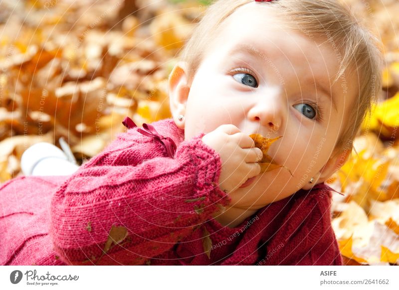 Baby Mädchen isst Herbstblätter Essen Lifestyle Freude Glück Spielen Kind Mund Natur Wärme Blatt Park Wald blond berühren entdecken genießen Fröhlichkeit