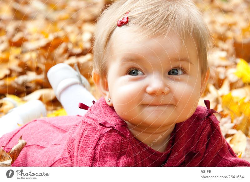 Herbst Baby Mädchen lächelnd Lifestyle Freude Glück Spielen Kind Natur Wärme Blatt Park Wald blond berühren entdecken genießen Lächeln Fröhlichkeit natürlich