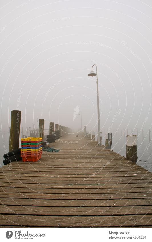 Hafen Lauterbach1 Nebel Menschenleer dunkel kalt Farbfoto Außenaufnahme Morgen Morgendämmerung Steg
