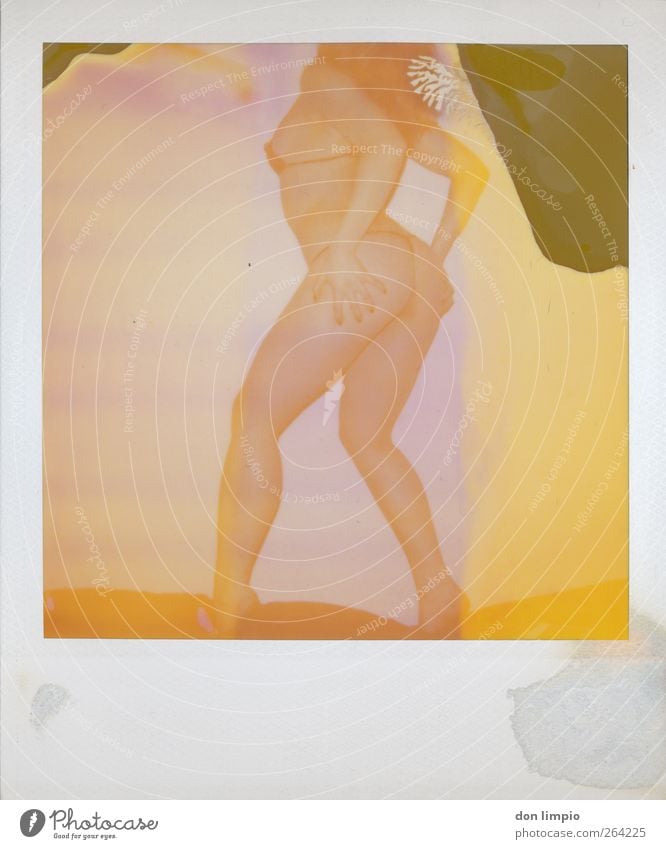 vintage boogie feminin Junge Frau Jugendliche Körper 1 Mensch 18-30 Jahre Erwachsene Bikini stehen schön Erotik trashig mehrfarbig Lust nackt Farbfoto Polaroid