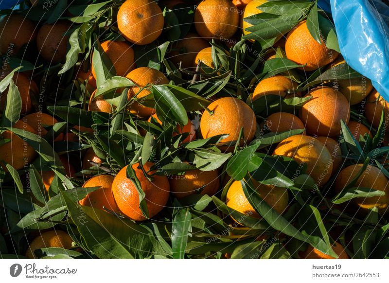 Frische Mandarinen in der Saison Lebensmittel Frucht Orange Vegetarische Ernährung Diät Saft Gesunde Ernährung frisch natürlich oben grün Zitrusfrüchte Entzug
