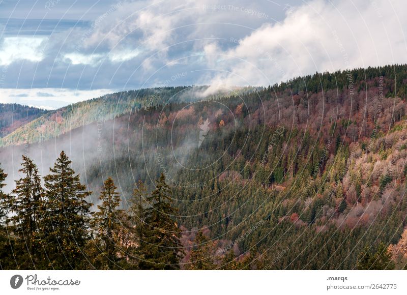 Herbst im Schwarzwald Umwelt Natur Landschaft Pflanze Urelemente Himmel Wolken Nebel Nadelbaum Wald Berge u. Gebirge Jahreszeiten Stadt Furtwangen Farbfoto