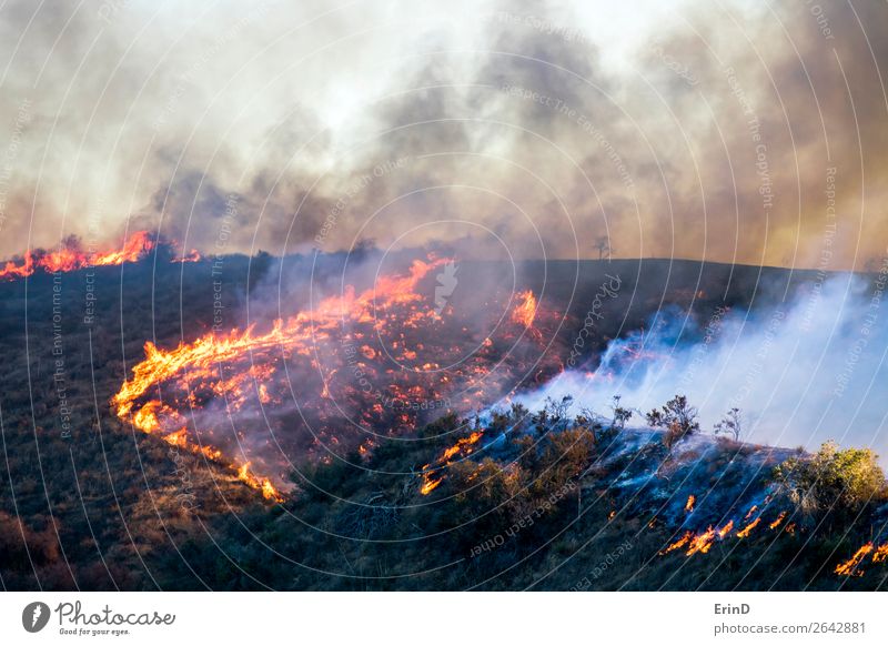 Flammen und Rauch mit brennender Landschaft schön Umwelt Natur Hügel natürlich wild Angst Farbe Zerstörung Feuer Bürste Lauffeuer Woolsey Kalifornien Brandwunde