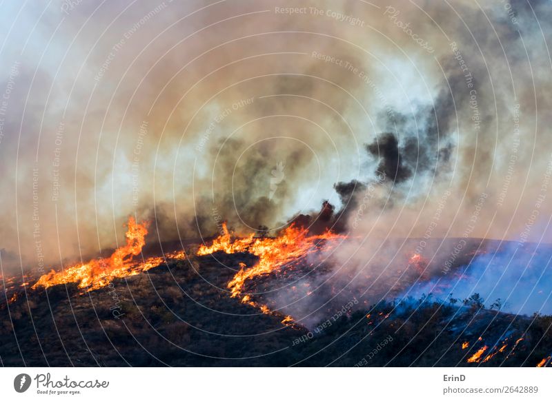 Wildfeuer brennt den Hügel mit Flammen und dramatischem Rauch nieder. schön Umwelt Natur Landschaft Coolness einzigartig natürlich wild Angst Farbe Zerstörung