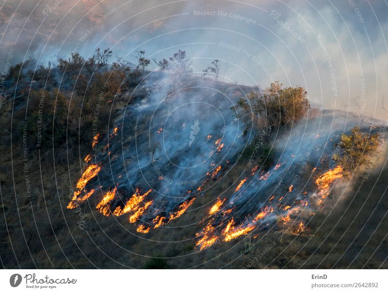 Detail des Feuer brennenden Grats mit Baumflammen und Rauch schön Umwelt Natur Landschaft Hügel Coolness einzigartig natürlich wild Angst Farbe Zerstörung