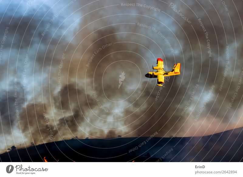 Gelbes Flugzeug fliegt über das Buschfeuer mit Rauch am Himmel schön Umwelt Landschaft Hügel fliegen Coolness einzigartig Mut Angst Farbe Zerstörung Feuer