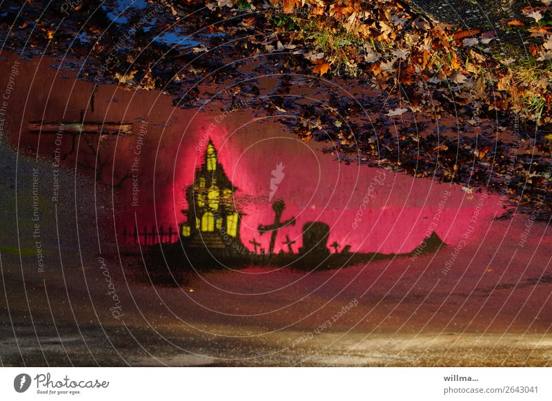 Graffiti spiegeln sich in einer Pfütze. Über Gräbern weht der Wind ... Kreuz Grab Burg Schloss rosa Reflexion & Spiegelung Herbstlaub Halloween Märchen