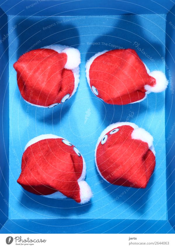 blaue kiste V Weihnachten & Advent Kasten Denken lustig rot Nikolausmütze Auge Überraschung Farbfoto Studioaufnahme Menschenleer Kunstlicht Vogelperspektive
