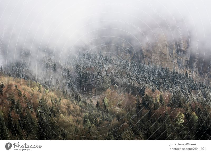 Autumn Mountains Umwelt Natur Landschaft Pflanze Herbst Winter Nebel Eis Frost Baum Wald Alpen Berge u. Gebirge Freiheit Freizeit & Hobby ruhig Farbfoto