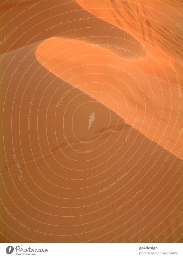Wüstenwelle Wellen Physik rot Dubai Sonnenlicht Berge u. Gebirge Sand Wärme Sahara Anebdstimmung