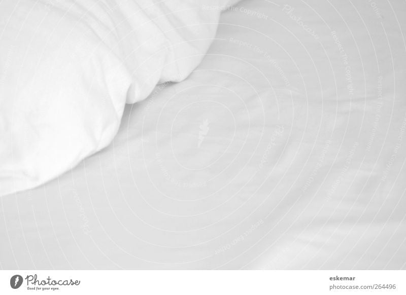 Bett Häusliches Leben Wohnung Raum Schlafzimmer Kopfkissen Bettlaken Bettdecke schlafen einfach nah Sauberkeit weich weiß Gastfreundschaft ruhig Müdigkeit