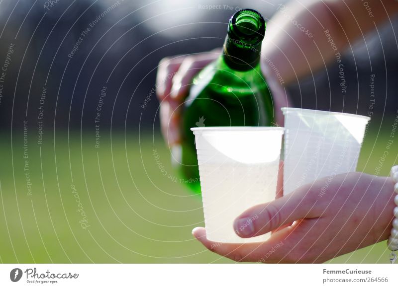 Cheers! Santé! Salute! Freizeit & Hobby Garten Dienstleistungsgewerbe Sekt Wein Prosecco Plastikbecher Trinkbecher trinken eingießen Flasche Altglas grün Park