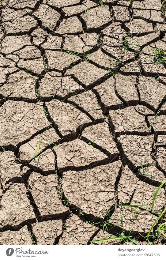 Gerissener Boden Sommer Umwelt Natur Erde Klima Dürre Armut heiß natürlich Tod Desaster Riss trocknen Land wüst Hintergrund Wasser Schlamm Konsistenz Erwärmung
