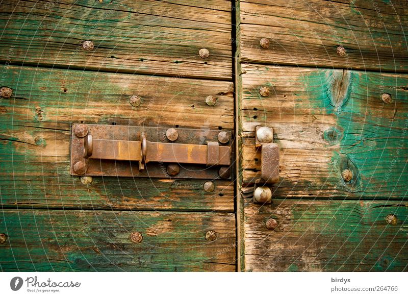 Türen öffnen Holz Metall alt braun grün Schloss Riegel Scheune Schuppentür Rost Abnutzung offen Stalltür Holztür Farbfoto Außenaufnahme Menschenleer
