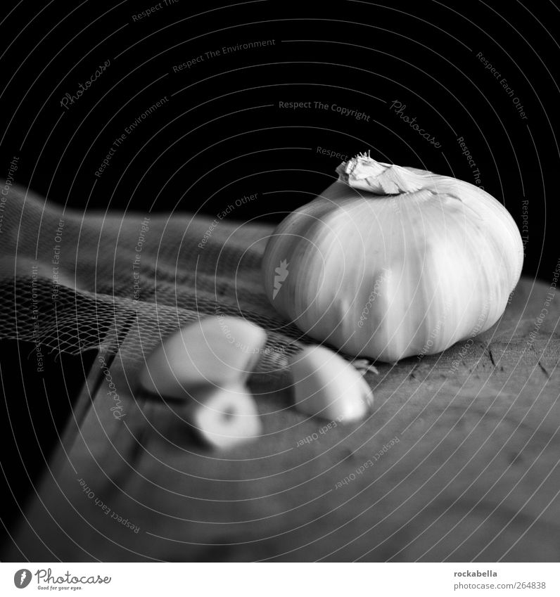 strukturfetisch. Lebensmittel Gemüse Knoblauch Knoblauchknolle ästhetisch Stillleben Schwarzweißfoto Studioaufnahme Hintergrund neutral Schwache Tiefenschärfe