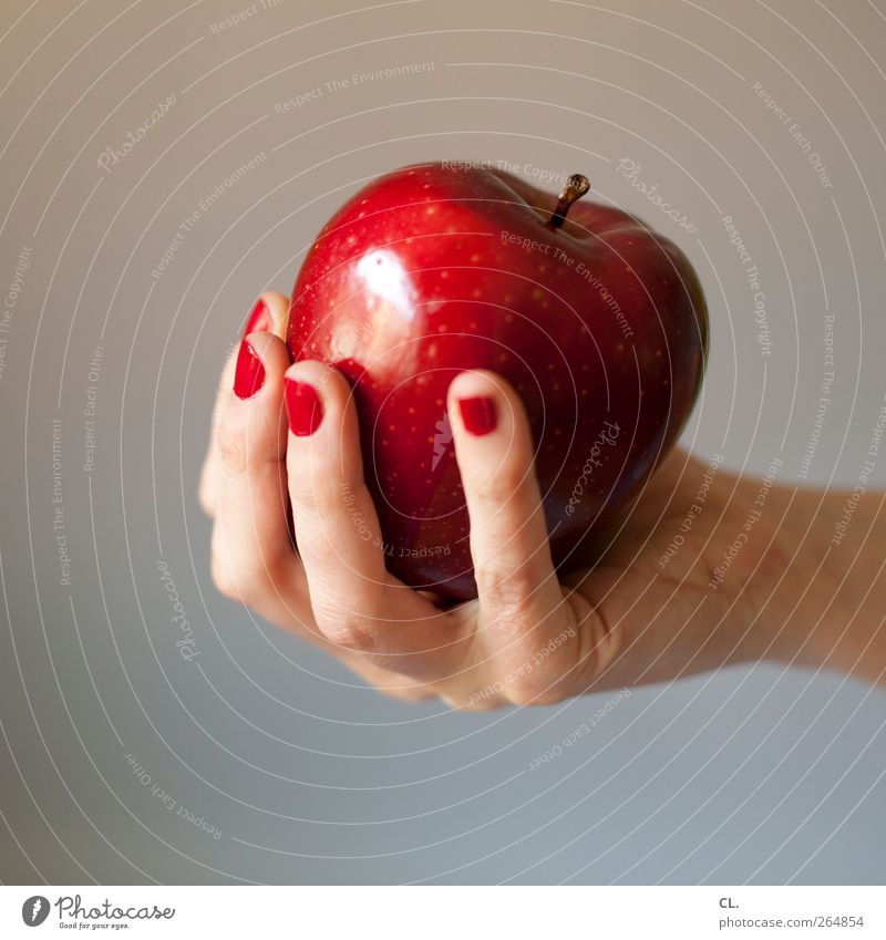 apfel Lebensmittel Frucht Apfel Ernährung Essen Bioprodukte Vegetarische Ernährung Diät Mensch feminin Frau Erwachsene Hand Finger 1 18-30 Jahre Jugendliche