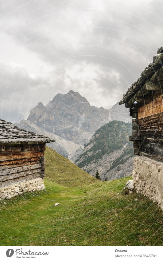 Pragser Hochalm Italien Südtirol Alpen Berge u. Gebirge Felsen Stein Gipfel Landschaft Dolomiten wandern Bergsteigen Klettern Natur unberührt Alm Stall