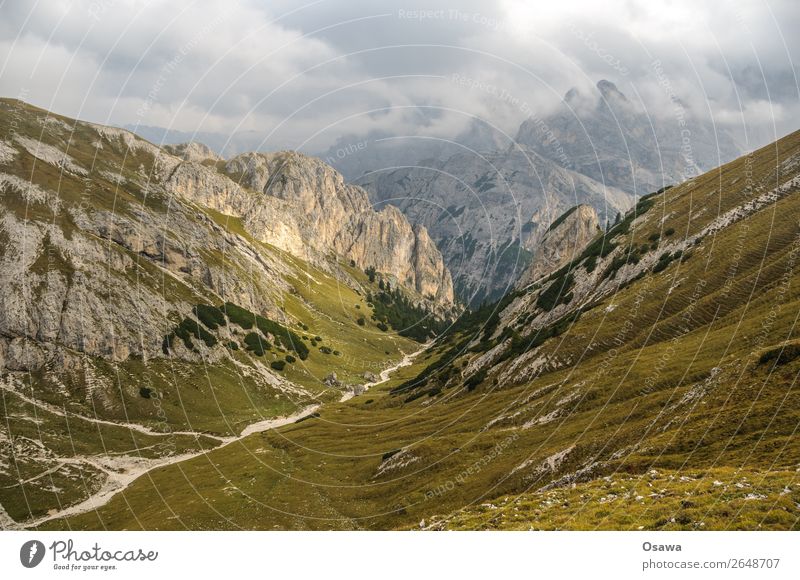 Pragser Hochalm Italien Südtirol Alpen Berge u. Gebirge Felsen Stein Gipfel Landschaft Dolomiten wandern Bergsteigen Klettern Natur unberührt Alm Wiese hoch