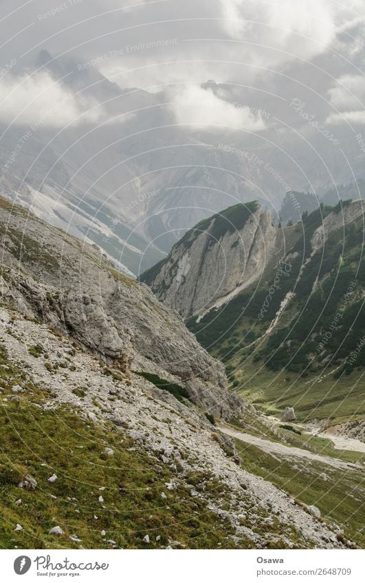 Pragser Hochalm Italien Südtirol Alpen Berge u. Gebirge Felsen Stein Gipfel Landschaft Dolomiten wandern Bergsteigen Klettern Natur unberührt Alm Wiese hoch