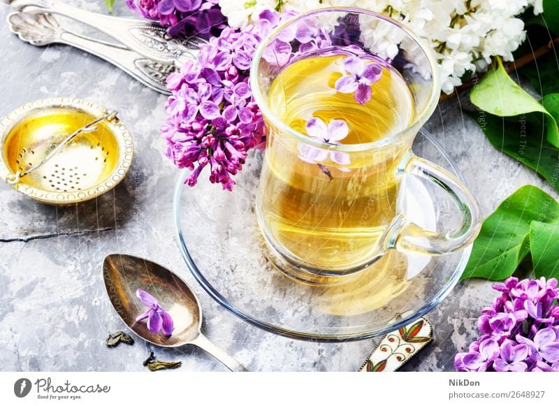 Tee mit Fliedergeschmack Blume Flieder-Geschmack Tasse trinken grün Tisch rosa Blütenblatt Kräuterbuch Natur Blatt frisch Frühling Gesundheit geblümt Becher