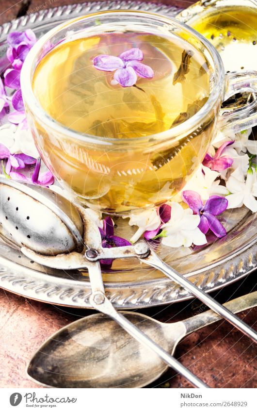 Tee mit Fliedergeschmack Blume Flieder-Geschmack Tasse trinken grün rosa Blütenblatt Kräuterbuch Natur Blatt frisch Frühling Gesundheit geblümt Becher Kraut