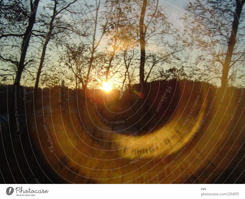 zenitale schattenspiele Reflexion & Spiegelung Sonnenuntergang Wald Licht Abend Natur