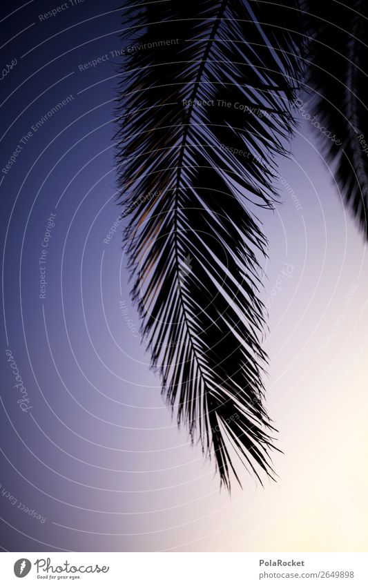 #AS# Wedel Natur Glück Ferien & Urlaub & Reisen Palme Palmenwedel Palmenstrand Palmendach Sonnenuntergang Strukturen & Formen viele Pflanze Pflanzenteile
