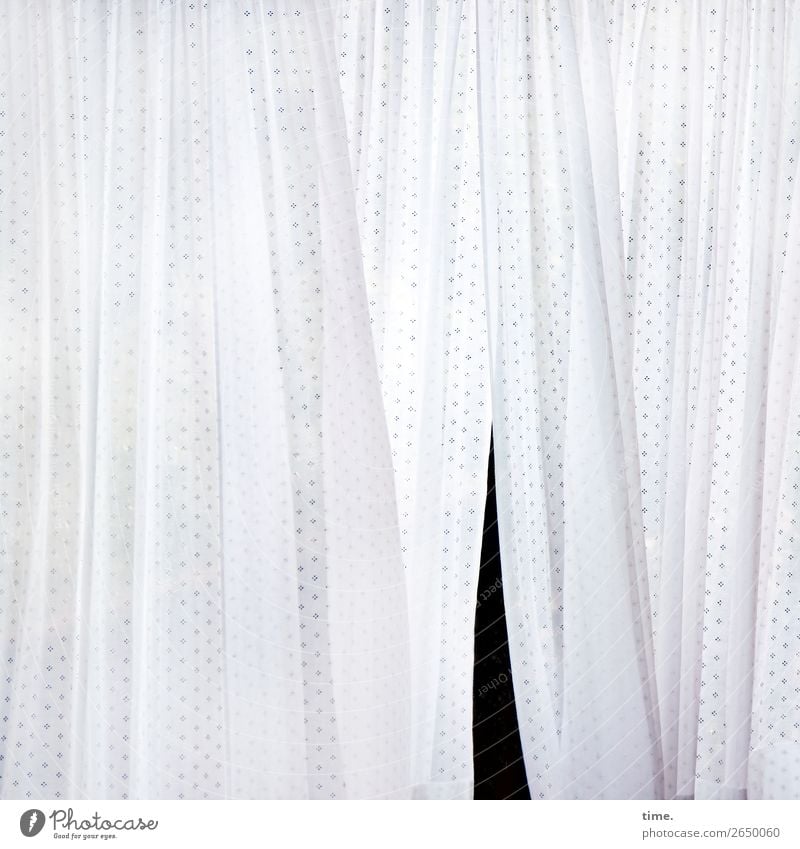 Schlitz im Textil Gardine Wäscheleine Textilien Stoff Vorhang Linie Streifen hängen hell schwarz weiß Leben Zufriedenheit Bewegung Design entdecken