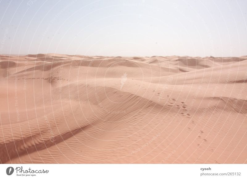 Den Spuren folgen... Natur Landschaft Sand Himmel Sommer Klima Klimawandel Schönes Wetter Wärme Dürre Wüste laufen wandern Ferne hell blau braun Kraft Mut