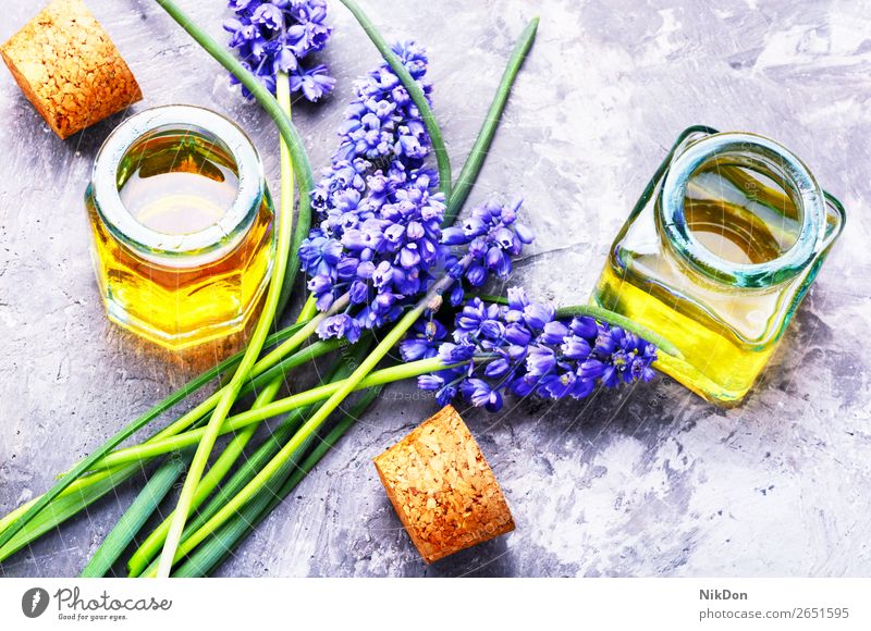 Extraktion von Blütenhyazinthe Essenz Flasche Hyazinthe Blume Aromatherapie Erdöl notwendig natürlich Kräuterbuch Gesundheit Medizin Wellness Schönheit Glas