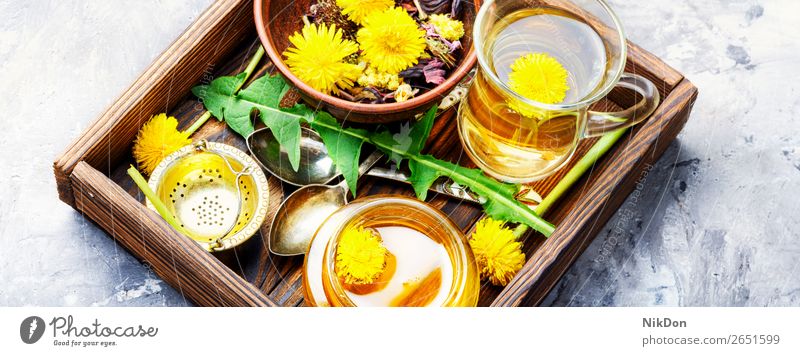 Löwenzahnhonig und Tee Liebling gelb Blume Tasse Lebensmittel Glas Frühling Natur Gesundheit Medizin Pflanze süß Dessert Sommer Marmelade medizinisch Blüte
