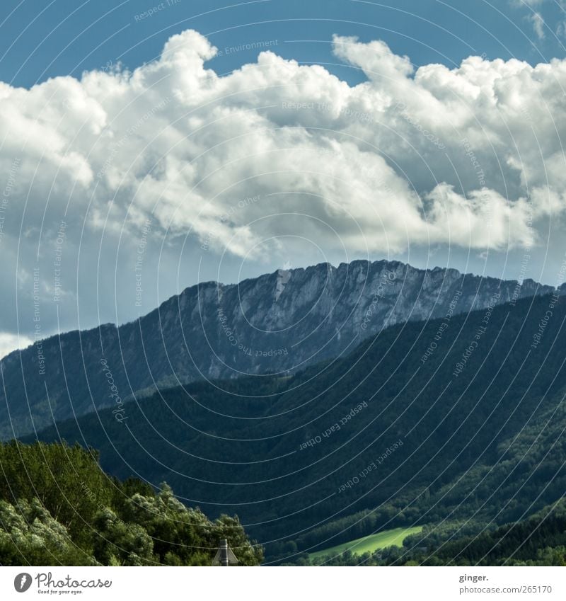 Ich bin noch nicht über den Berg. Umwelt Natur Landschaft Himmel Wolken Sommer Schönes Wetter Pflanze Baum Wiese Wald Hügel Felsen Alpen Berge u. Gebirge Gipfel