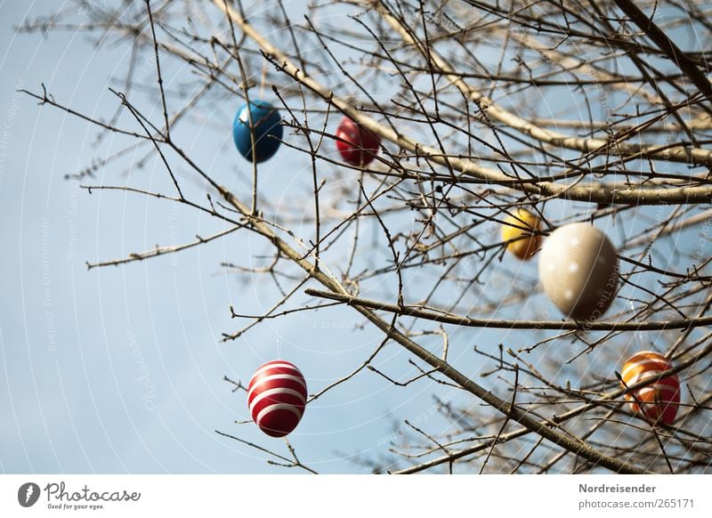 Die Woche hat vier Tage Freude Feste & Feiern Ostern Himmel Frühling Schönes Wetter Sträucher Zeichen Ornament Linie Streifen hängen mehrfarbig Vorfreude