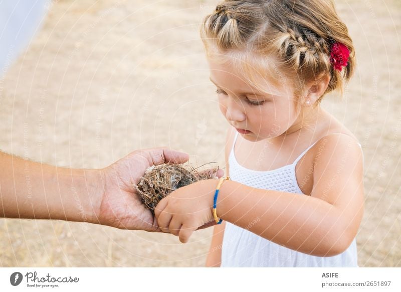 Kleines Mädchen entdeckt die Natur Leben Sommer Kind Schule Kleinkind Eltern Erwachsene Vater Hand blond Vogel Liebe klein Neugier niedlich Nest Tochter