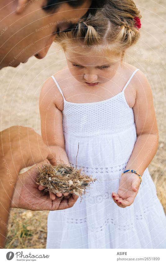 Papa unterrichtet Tochter über die Natur Leben Sommer Kind Schule Kleinkind Eltern Erwachsene Vater Hand blond Vogel Liebe klein Neugier niedlich Nest Mädchen