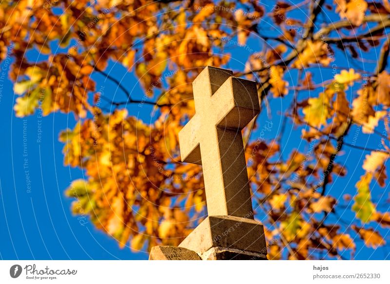 Kreuz mit herbstlich verfärbtem Laub im Hintergrund Zeichen gelb Religion & Glaube christian katholisch Symbol Pilgerweg Pilgerstrasse Kreuzweg Herbst Baum