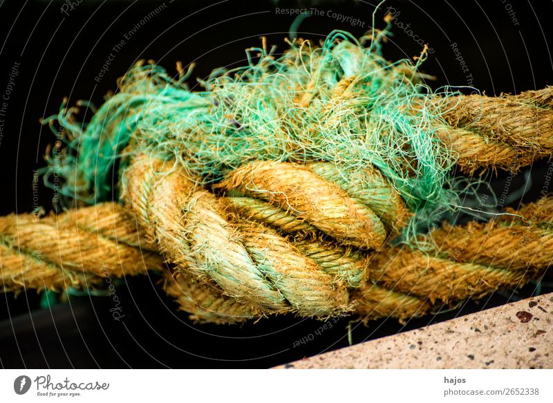 Knoten einer Festmacherleine in einem Hafen Schifffahrt alt maritim gelb Seil Seemannsknoten Tau dick Hanftau Nahaufnahme Leine Farbfoto Außenaufnahme Tag
