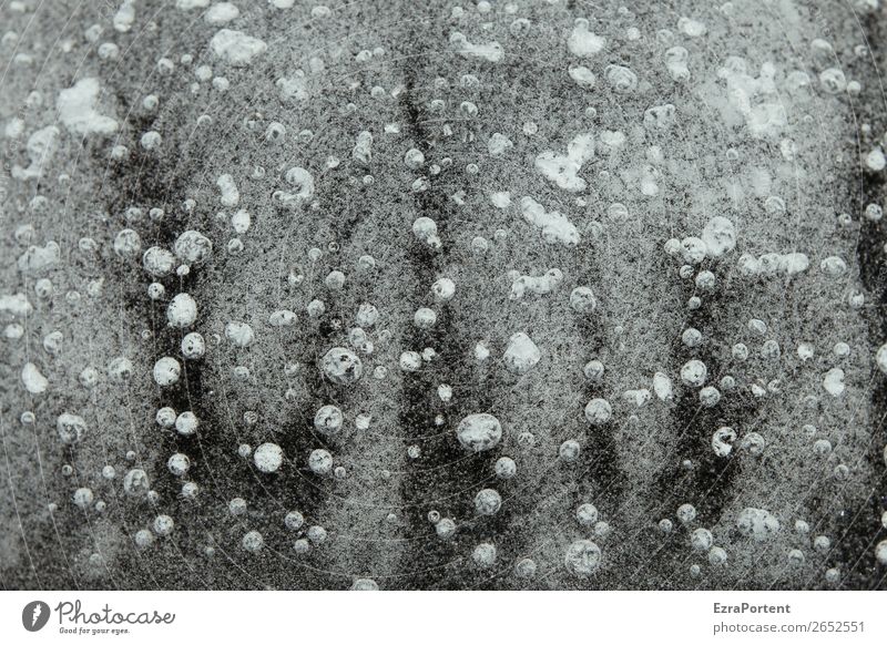 Luft ablassen Umwelt Natur Wasser Winter Eis Frost See kalt gefroren Blase Luftblase mehrere viele Schwarzweißfoto Nahaufnahme Detailaufnahme Menschenleer