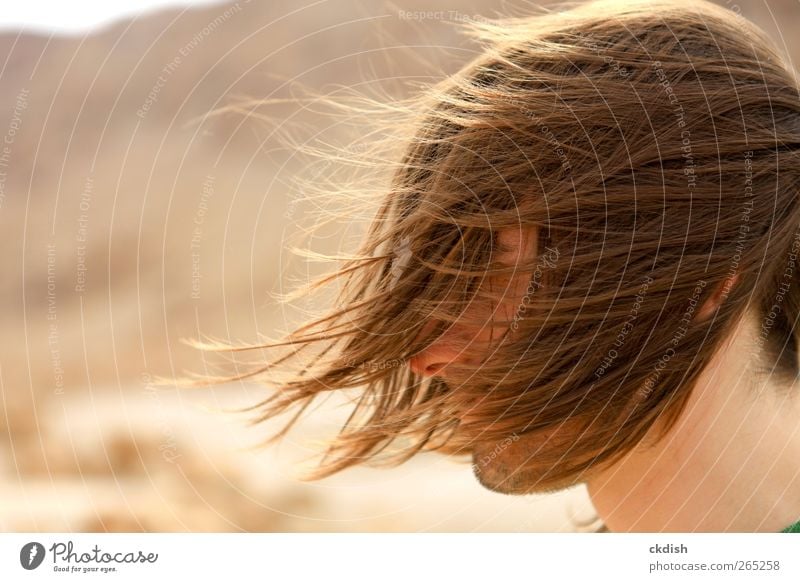 Das lange Haar des Mannes weht im Wind. maskulin Erwachsene Jugendliche Kopf Haare & Frisuren 1 Mensch 18-30 Jahre brünett Bart Dreitagebart frei braun gelb