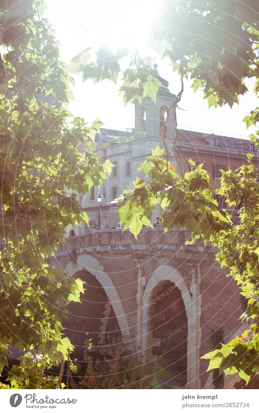 Rom XII - John of God Baum Tiberinsel Italien Brücke Mauer Wand Fassade Turm Ospedale San Giovanni Calibita Fatebenefratelli leuchten Freundlichkeit historisch