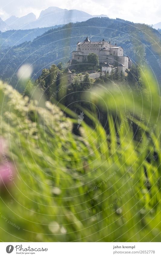 IV Burg Hohenwerfen - Ahoi, mein Mädchen Burg oder Schloss Mittelalter Ritter historisch Turm Himmel Wolken Festung Salzburger Land Wald Außenaufnahme