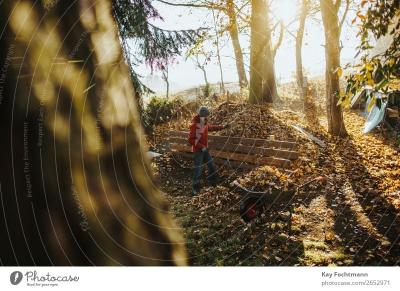 Kaukasischer Mann in roter Jacke füllt eine Schubkarre mit Blättern Aktivität Herbst Hinterhof Beanie Botanik Reinigen Säuberung fallen Fallout Brotbelag