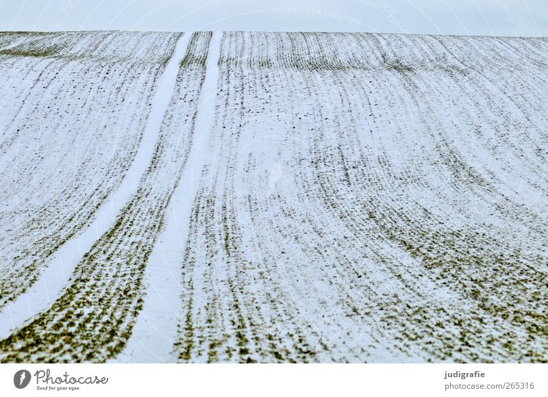 Uckermark Landwirtschaft Forstwirtschaft Umwelt Natur Landschaft Winter Schnee Feld kalt Einsamkeit ruhig Unendlichkeit Ferne Wellenform Linie Spuren Farbfoto